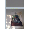 Lite Year - Paperback