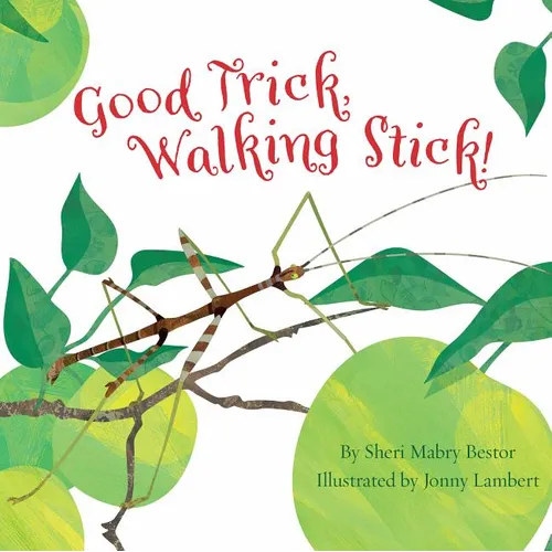 Good Trick Walking Stick - Paperback