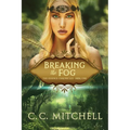 Breaking the Fog: The Essence Chronicles Book One - Paperback
