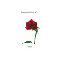 Everyday Mind XV - Paperback