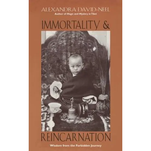 Immortality and Reincarnation: Wisdom from the Forbidden Journey - Paperback