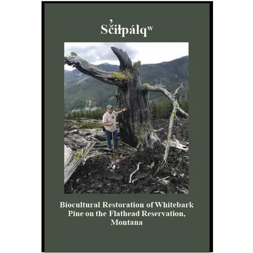 Sãiçpálî: Biocultural Restoration of Whitebark Pine on the Flathead Reservation, Montana