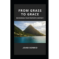From Grass to Grace: Pursuing Your Prophetic Destiny! - Paperback