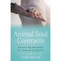 Animal Soul Contracts: Sacred Agreements for Shared Evolution - Paperback