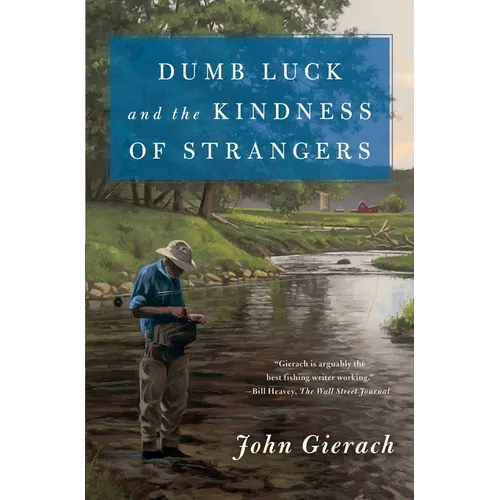 Dumb Luck and the Kindness of Strangers - Paperback