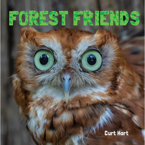 Forest Friends - Board Book