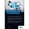 SAP Projects on Time: Root Cause Analysis & Strategic Thinking - Paperback