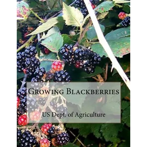 Growing Blackberries - Paperback