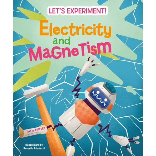 Electricity and Magnetism - Hardcover