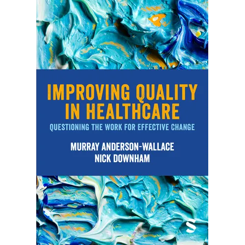 Improving Quality in Healthcare: Questioning the Work for Effective Change - Paperback