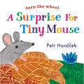 A Surprise for Tiny Mouse - Board Book