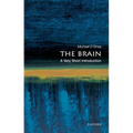 The Brain: A Very Short Introduction - Paperback