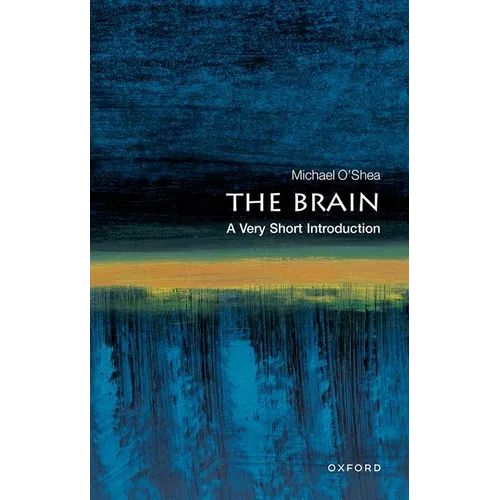 The Brain: A Very Short Introduction - Paperback