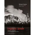 Enigmatic Stream: Industrial Landscapes of the Lower Mississippi River