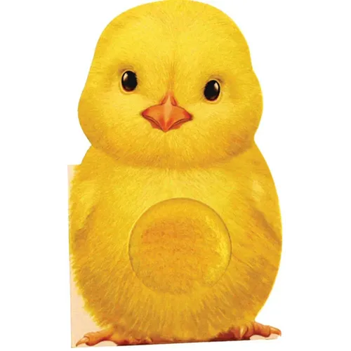 Furry Chick - Board Book