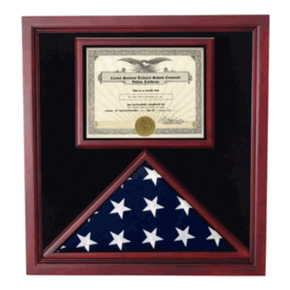 Flag and Document Display Case.