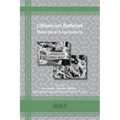 Lithium-ion Batteries - Paperback