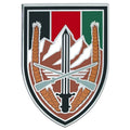 U.S. Army Element U.S. Forces Afghanistan CSIB