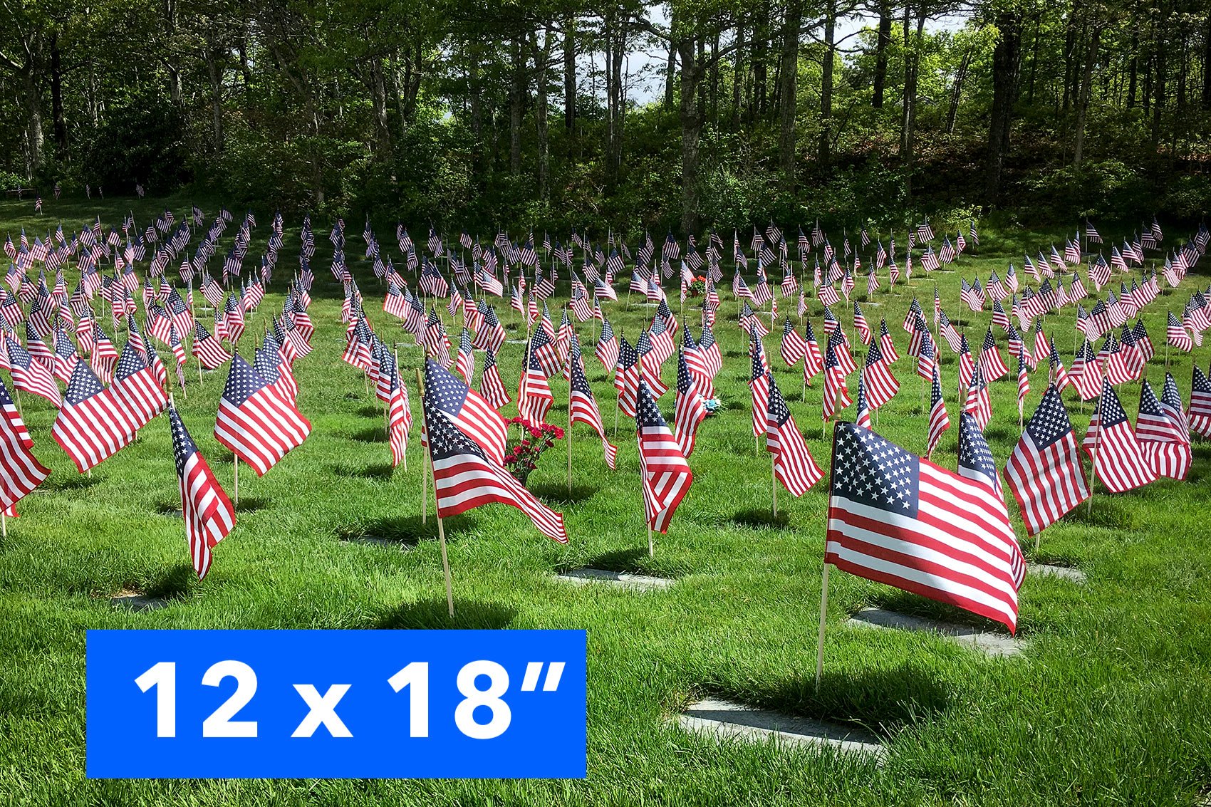 U.S. Stick Flags
