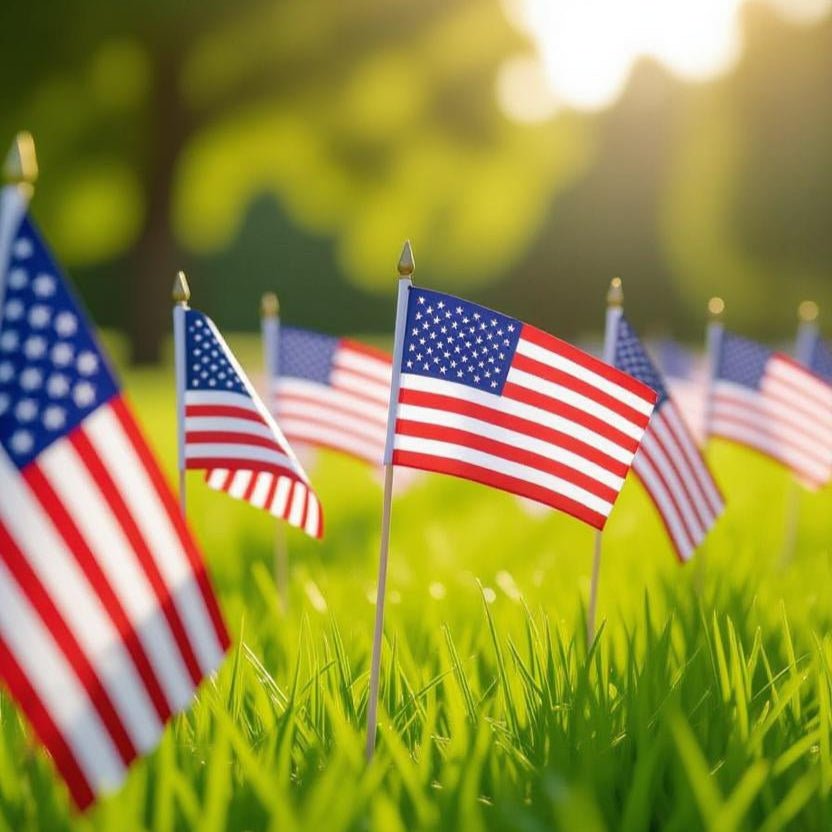 U.S. Stick Flags