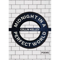 Midnight in a Perfect World - Paperback
