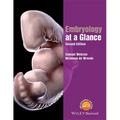 Embryology at a Glance - Paperback