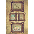 Illusions of the Imagination - Paperback