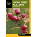Sonoran Desert Wildflowers