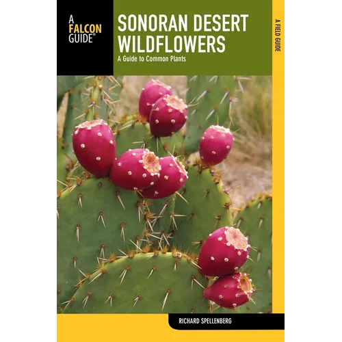 Sonoran Desert Wildflowers