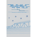 Bridges - Paperback