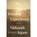 The Best Possible Experience: Stories - Paperback