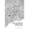 Cracked Spaces - Paperback