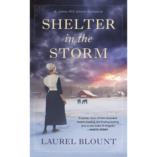 Shelter in the Storm - Mass Market Paperbound