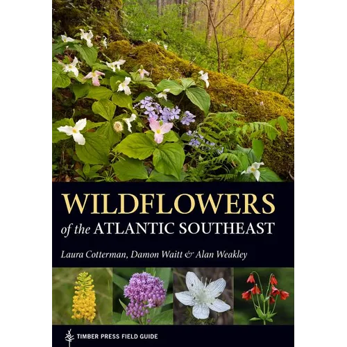 Wildflowers of the Atlantic Southeast - Paperback