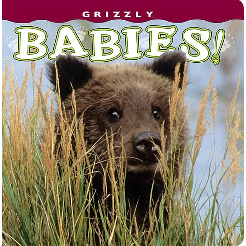 Grizzly Babies! - Board Book