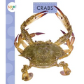 Crabs - Paperback