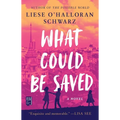 What Could Be Saved - Paperback