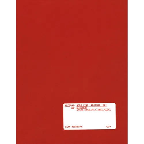 Dara Birnbaum: Note(s): Work(ing) Process(es) RE: Concerns (That Take on / Deal With) - Paperback