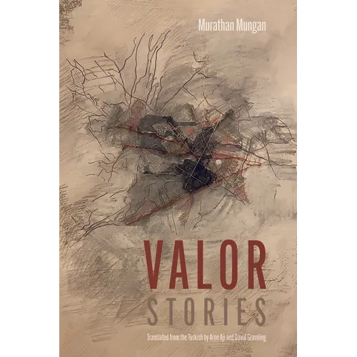 Valor: Stories - Paperback