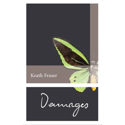Damages: Selected Stories 1982-2012 - Paperback