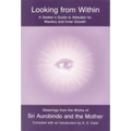 Looking from Within - Paperback