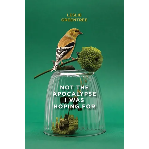 Not the Apocalypse I Was Hoping for - Paperback