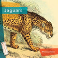 Jaguars - Paperback