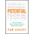 Potential: How to Connect What's Already There for Exponential Impact - Paperback