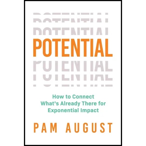 Potential: How to Connect What's Already There for Exponential Impact - Paperback