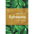 Journey Through Ephesians: 40 Biblical Insights By Robert M. Solomon - Paperback