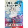 The Light of Seven Days a Novel - Hardcover