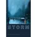 Storm: Minds Shine Bright - Paperback