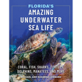 Florida's Amazing Underwater Sea Life: Coral, Fish, Sharks, Turtles, Dolphins, Manatees, and More