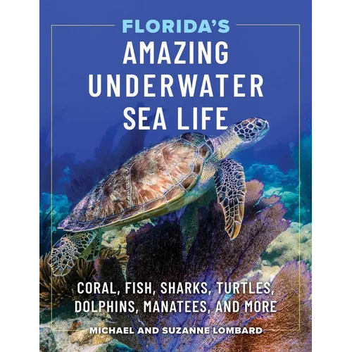 Florida's Amazing Underwater Sea Life: Coral, Fish, Sharks, Turtles, Dolphins, Manatees, and More